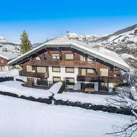 Skis Aux Pieds A Megeve, Animaux Permis - Fr-1-453-58 * Megève