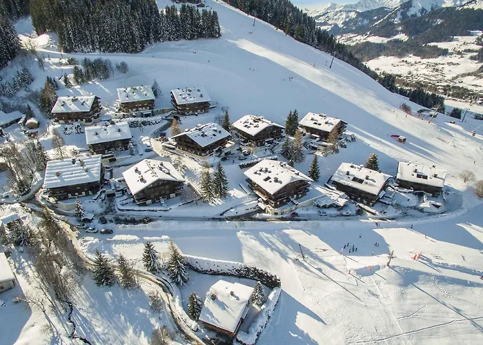 Skis Aux Pieds A Megeve, Animaux Permis - Fr-1-453-58 * 梅杰夫