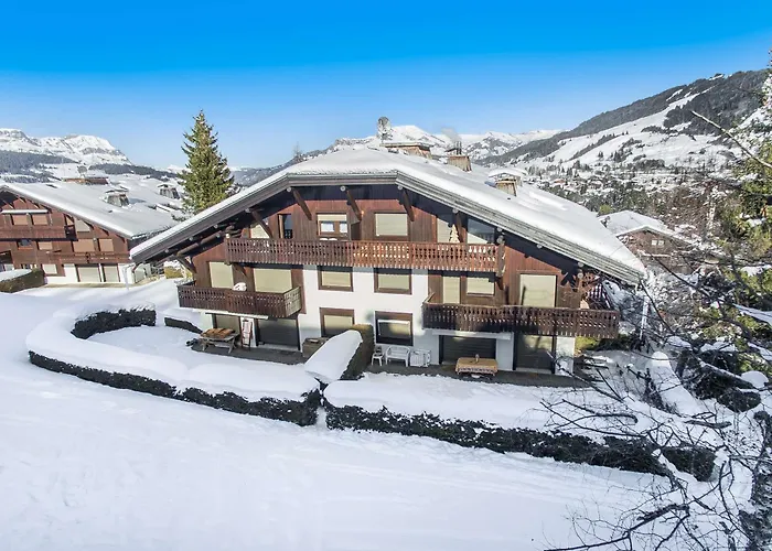 Skis Aux Pieds A Megeve, Animaux Permis - Fr-1-453-58 * 梅杰夫